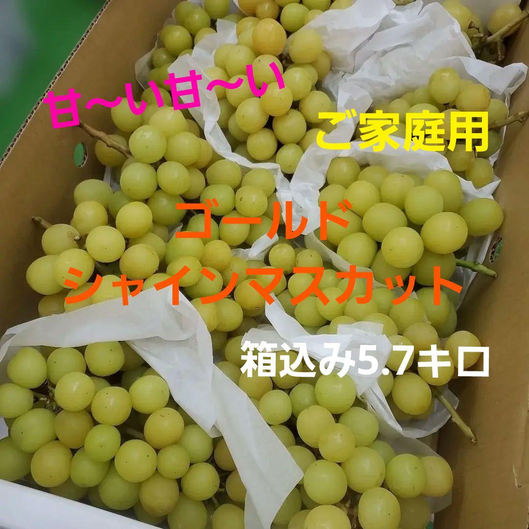 5️⃣ 山梨県産 シャインマスカット １１房入り 箱込み5.7キロ