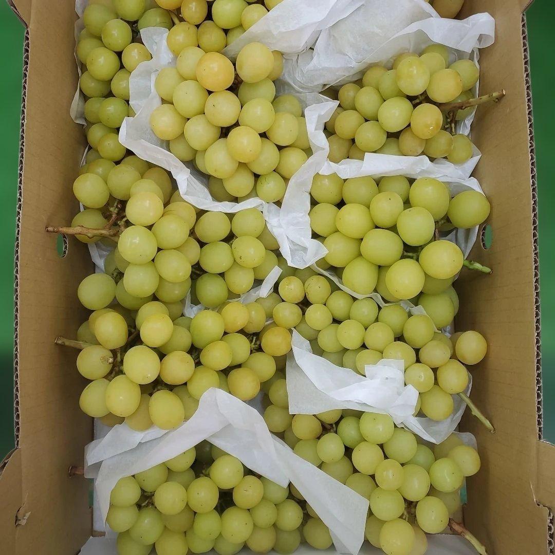 5️⃣ 山梨県産 シャインマスカット １１房入り 箱込み5.7キロ