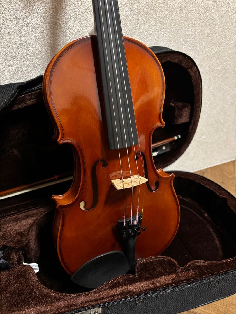 【2016製】CARLO GIORDANO VS-1 4/4 カルロジョルダーノ