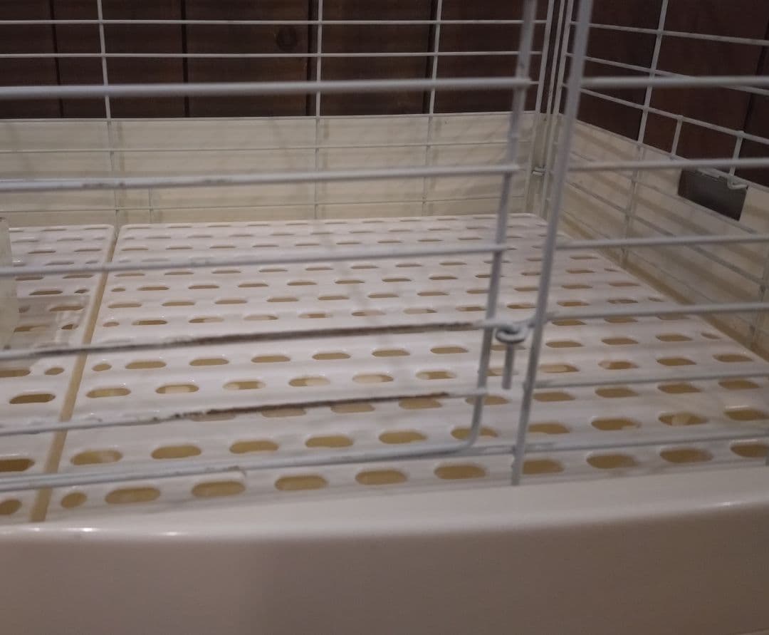 中古 サンコー イージーホーム エボ 80 うさぎ ケージ ゲージ チンチラ