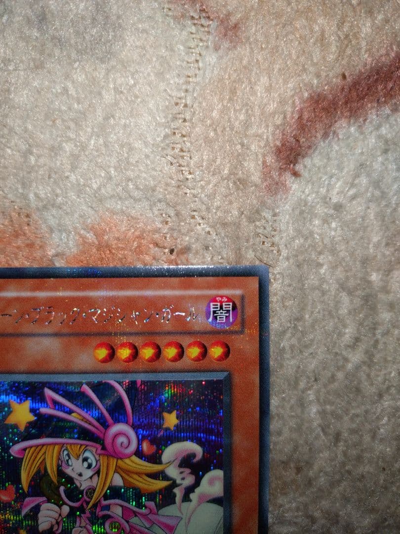 遊戯王トゥーン・ブラック・マジシャン・ガール②枚セット