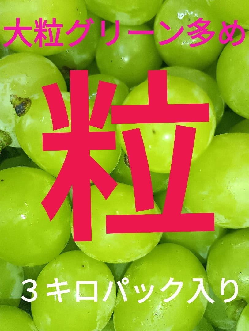 シヤインマスカット大粒グリーン多め粒3キロパック入りになります。