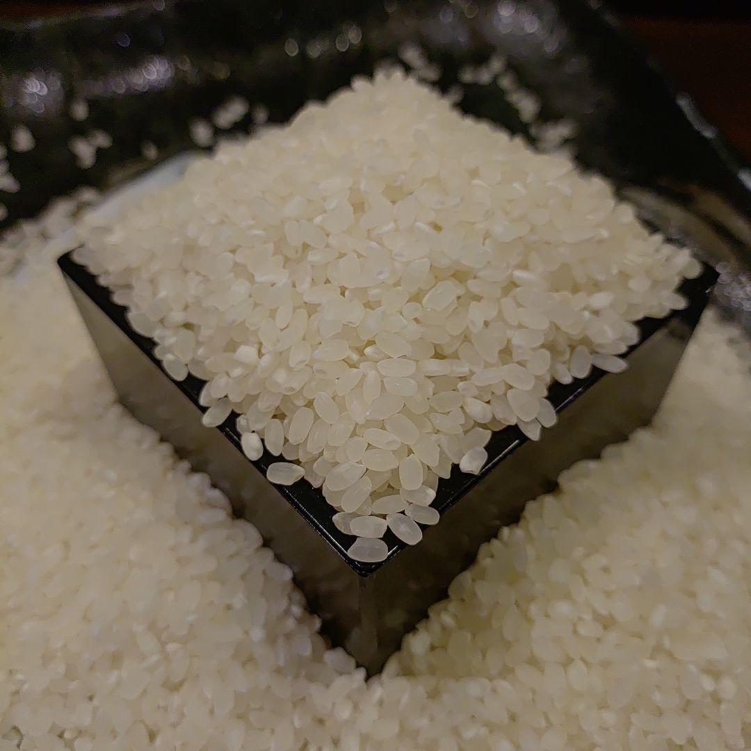 ヒノヒカリ 令和6年産 10kg 数量限定米