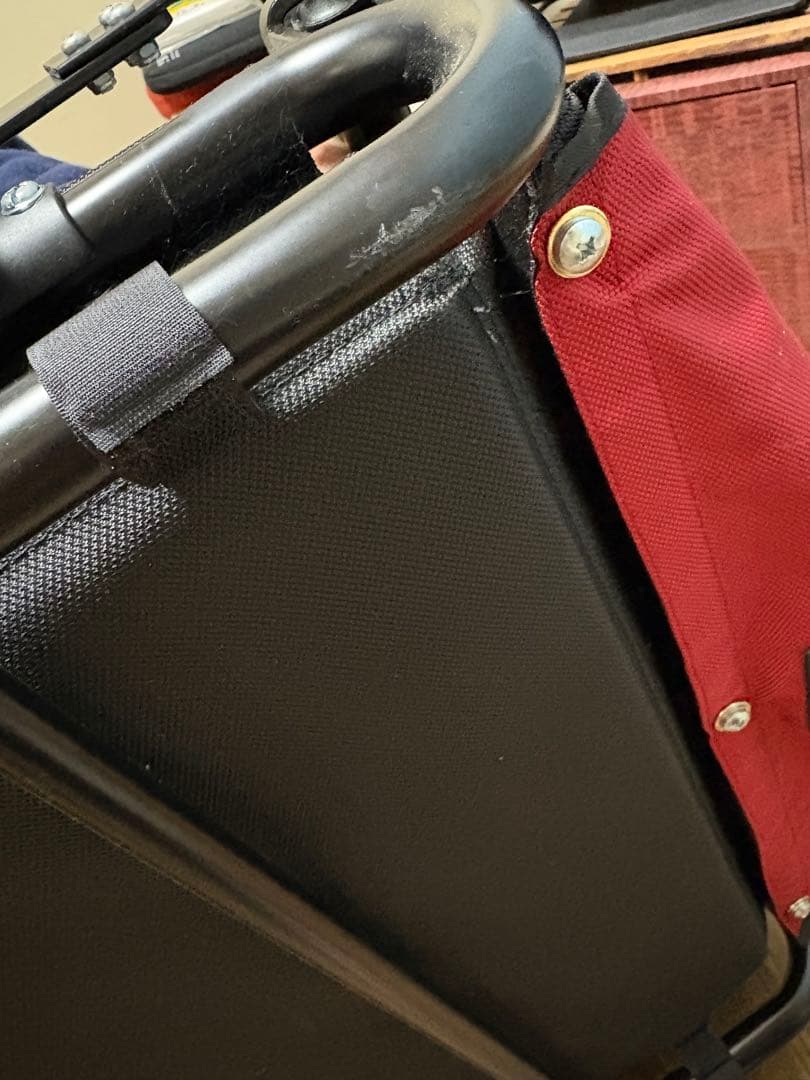 エアバギー　ネストバイク　タンゴレッド　赤