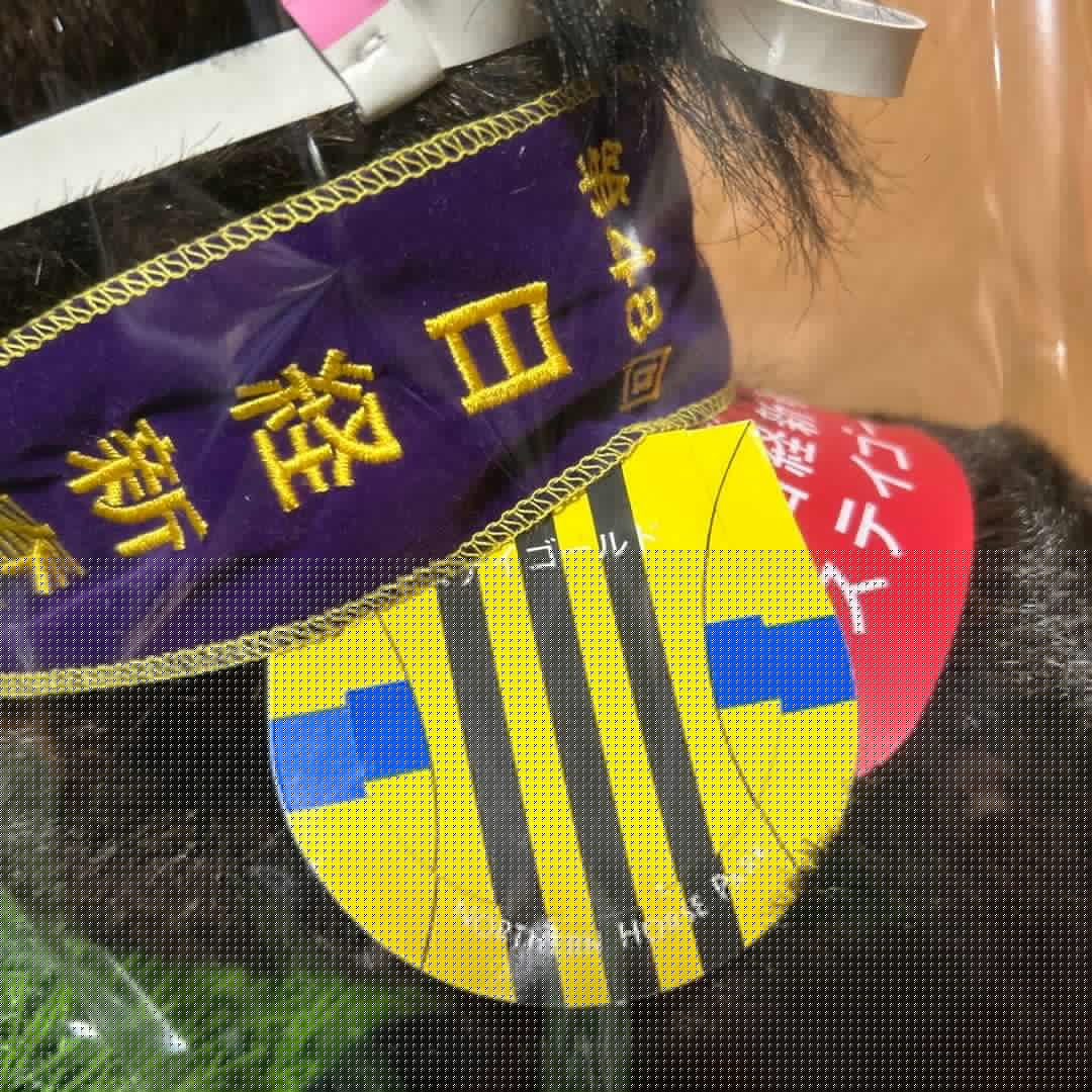 ステイゴールド 日経新春杯 Sサイズ 競馬 ぬいぐるみ
