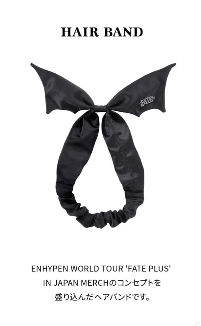 ENHYPEN ニキ　マスター　ぬいぐるみ　40cm おまけ付き