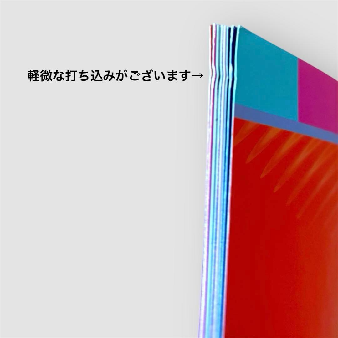 【極美品】ビョーク 1996年来日公演パンフレット Bjork ‘96日本ツアー