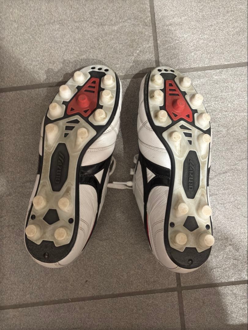 【us21様】モレリア2 クロスステッチ　25.5cm