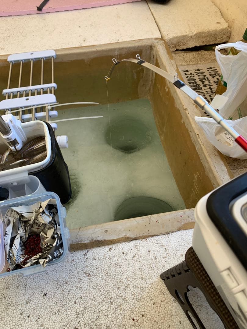 オススメ　氷上ワカサギ釣り　ステンレス穂先　２本　　252ミリ