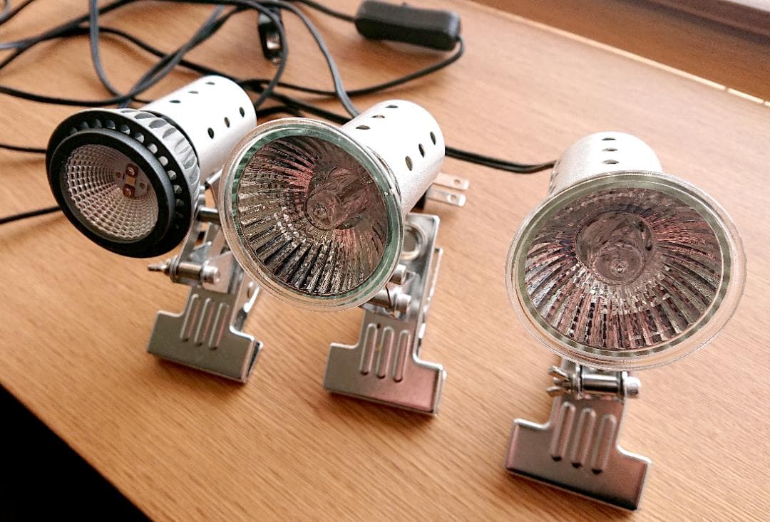 カナヘビ・爬虫類飼育11点セット