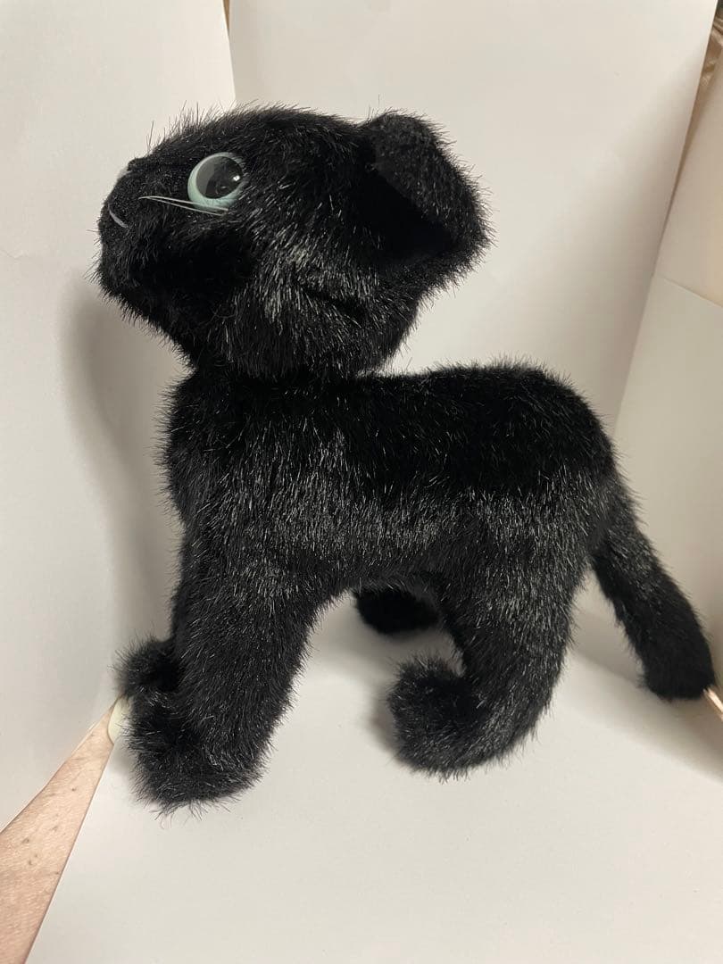 カドリー　黒猫のぬいぐるみ