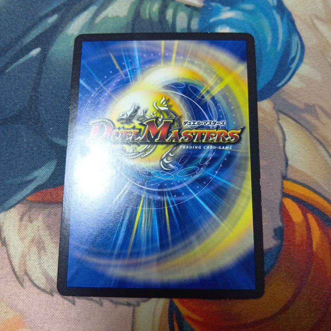 水上第九院 シャコガイル b 1枚