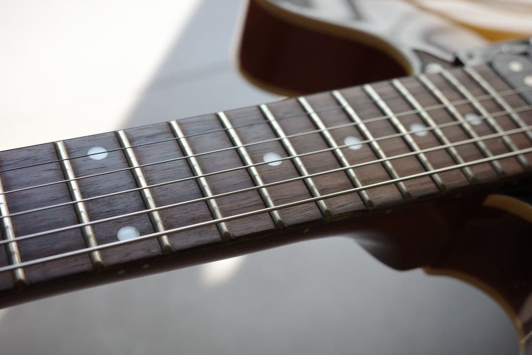 や*ー様 FIBONACCI GUITARS ProtoModel ES-335