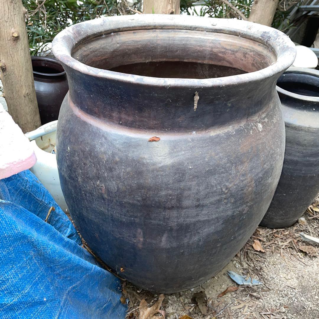 ⑦大甕　おおがめ　甕　カメ　扁平、水甕　オブジェ　ガーデニング　金魚　メダカ