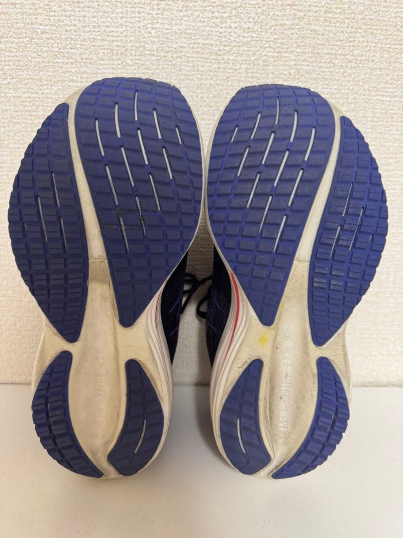 【ゆい】ミズノ ウエーブライダー 29 23.0cm