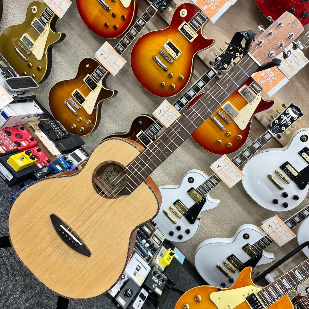 【11610】aNueNue アヌエヌエ Bird M10 ミニギター