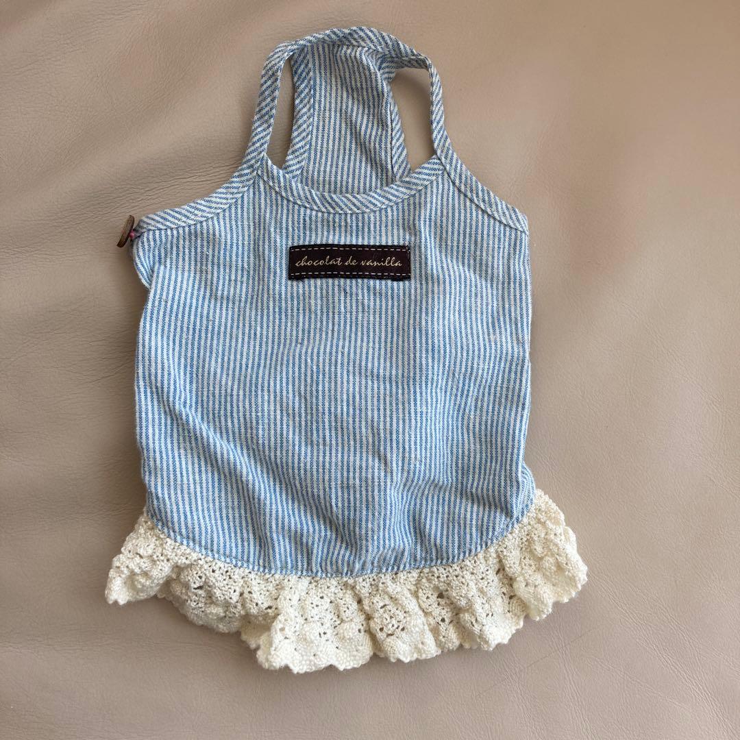 chocolat de vanilla 犬服 水色ストライプ レース裾