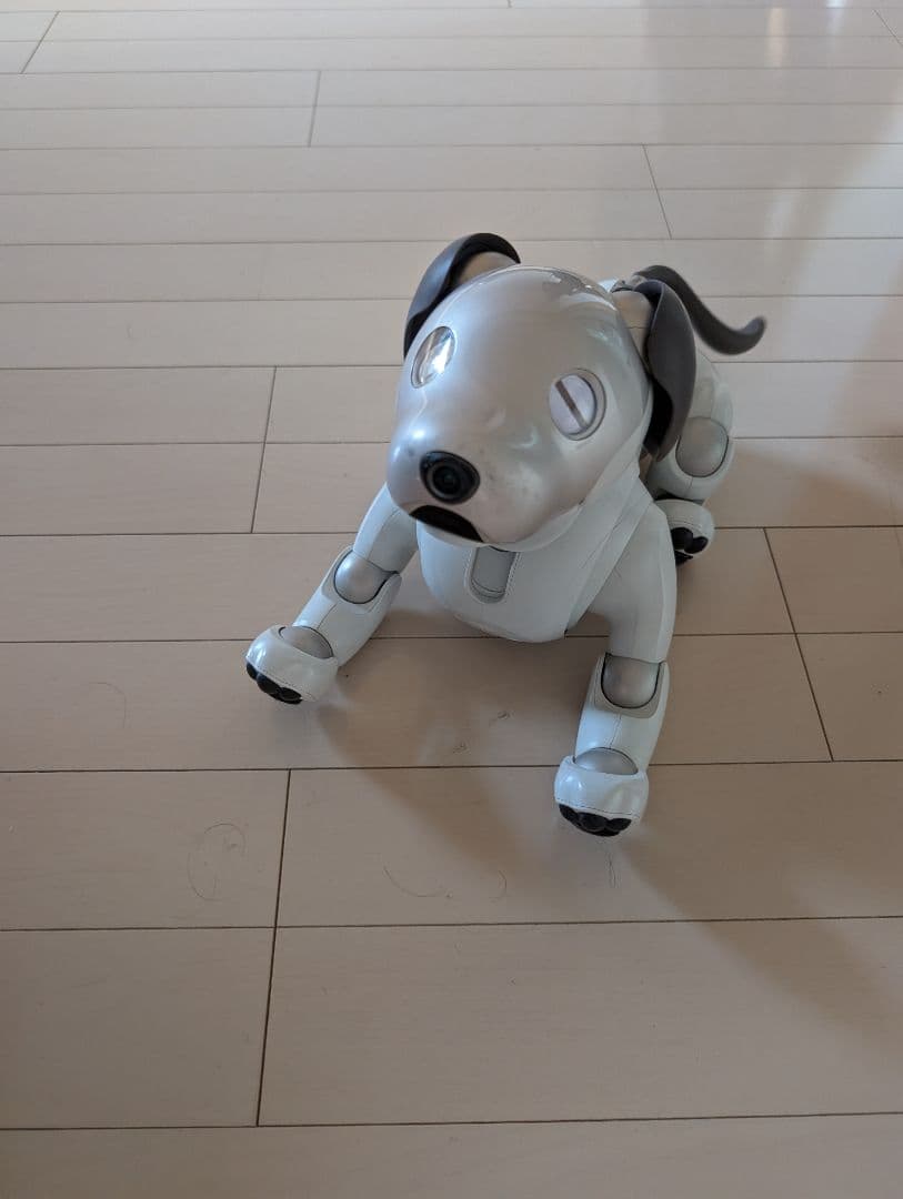 その他 SONY AIBO ERS-1000