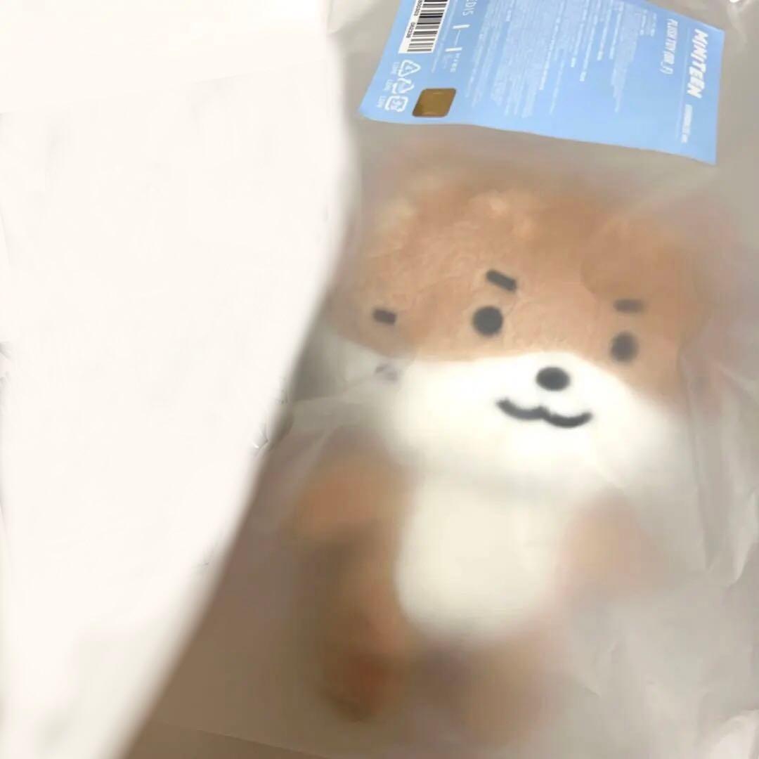 SEVENTEEN MINITEEN ディノ チャンダリ　セブチ　ぬいぐるみ