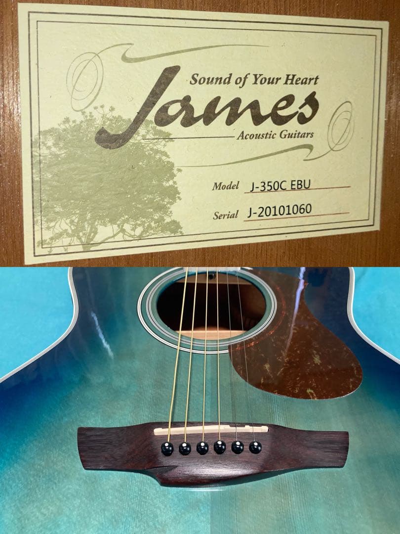James J-350C/EBU ジェームスエレアコギター