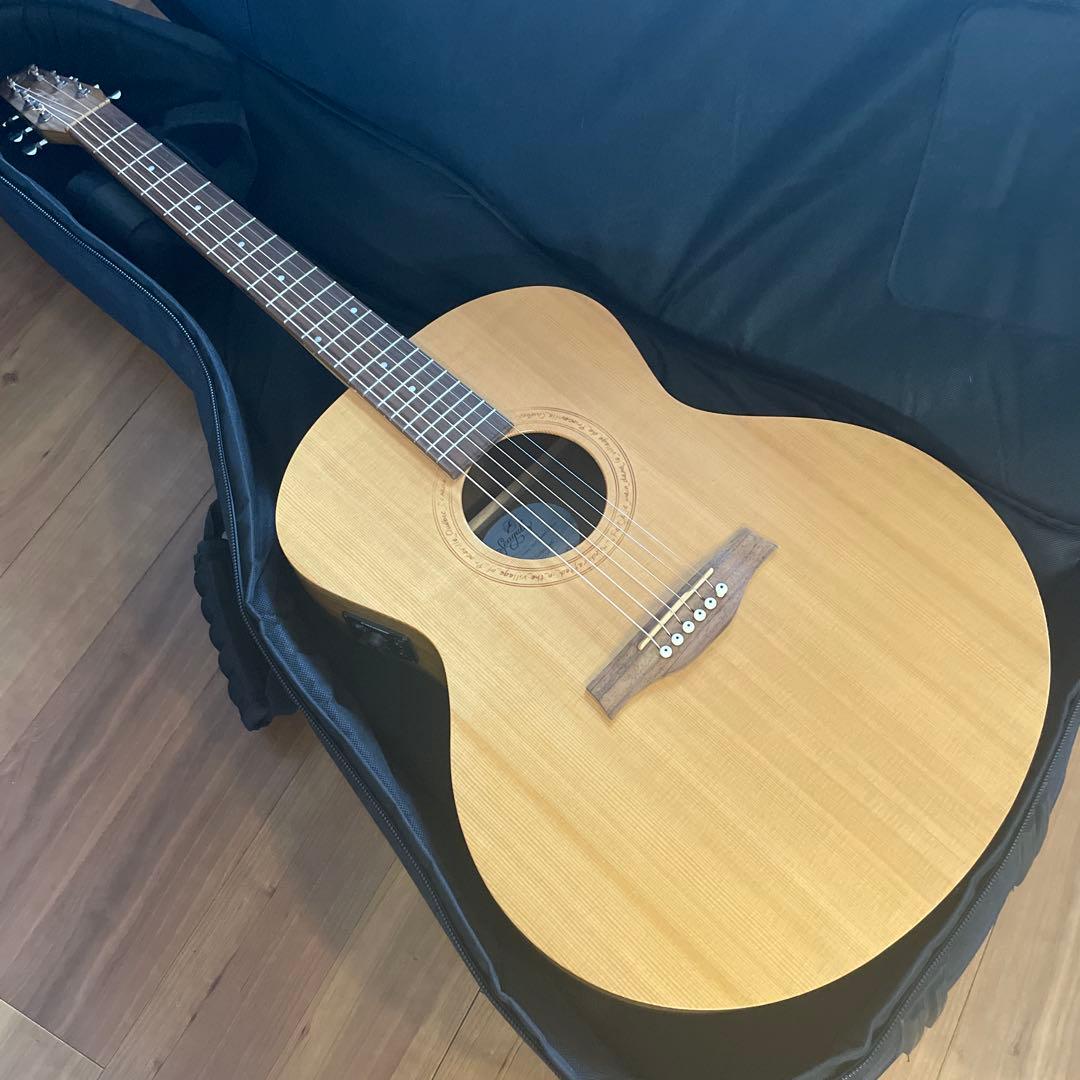 よしさん専用 シーガルのウォールナットミニジャンボ 専用ケース付