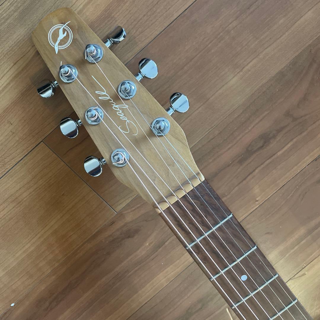 よしさん専用 シーガルのウォールナットミニジャンボ 専用ケース付