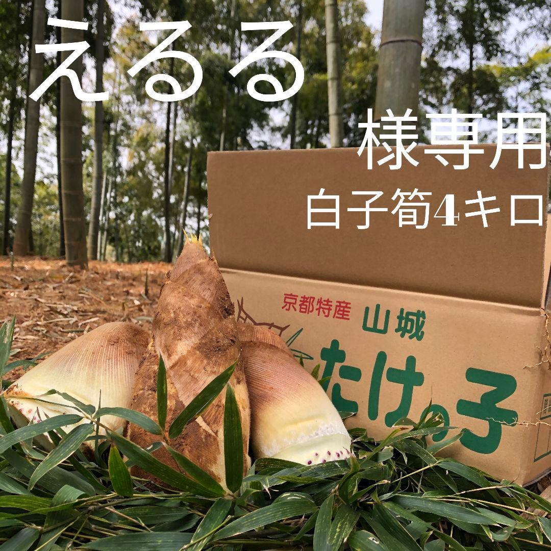 えるる　白子筍4キロ