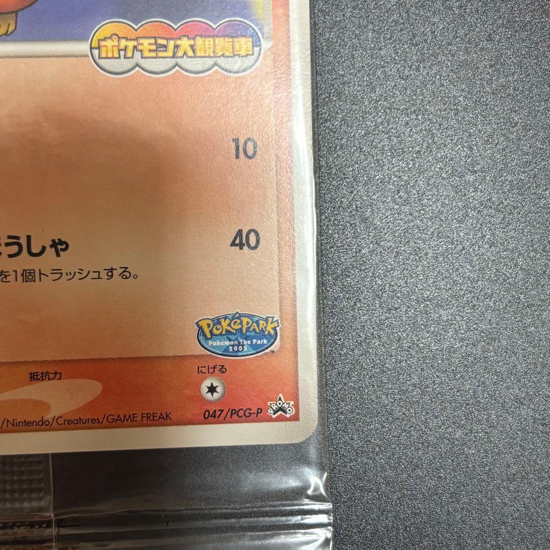 ポケパークのアチャモ プロモ 047/PCG-P ポケモンカード