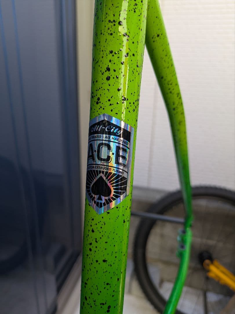 ALL CITY NATUREBOY ACE 美品　サイズ49