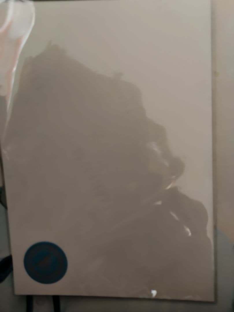 日向坂46 平岡海月サイン入り生写真