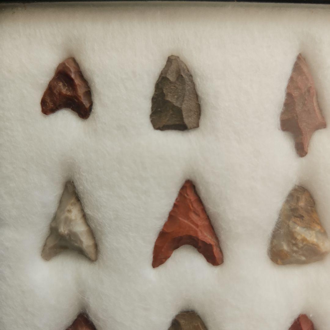 石器 矢じり 30個以上 ディスプレイケース付き