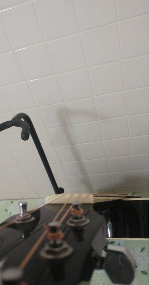 エレアコ AriaアリアElecord エレコード FET-500EBKS 中古