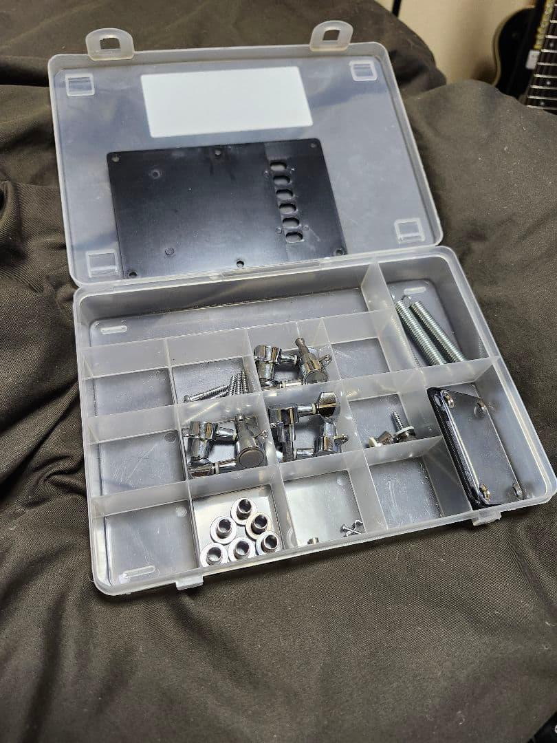 分解洗浄整備調整済み SELDER strat type black SSH