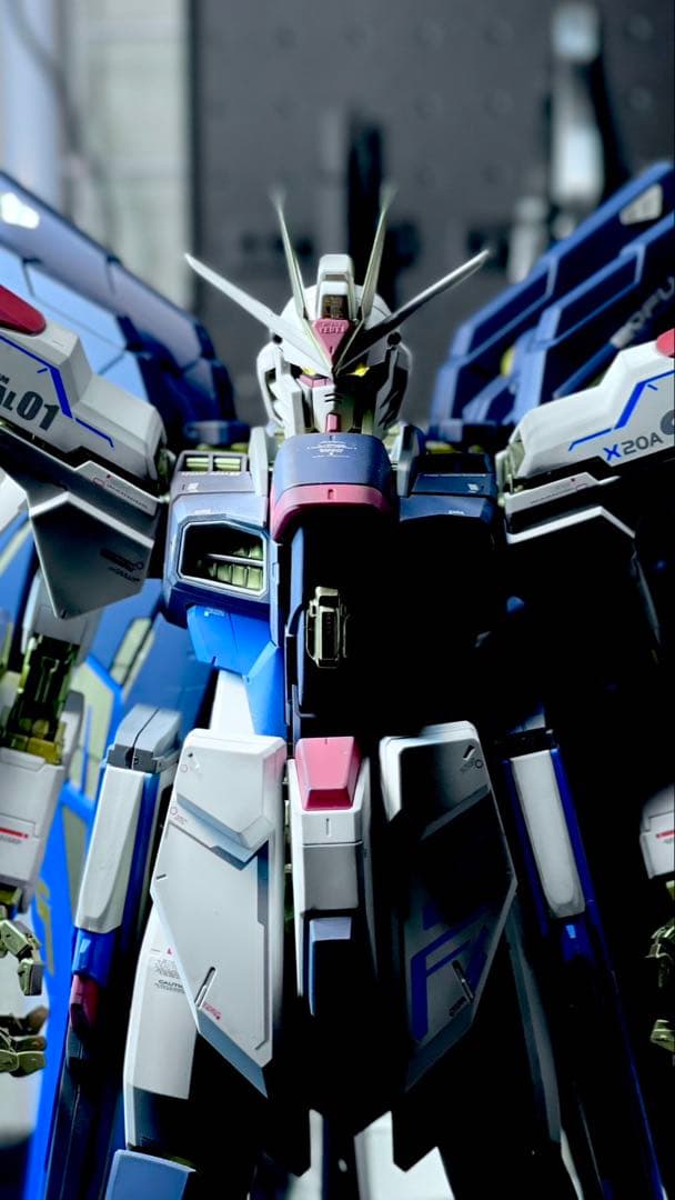 PG ストライクフリーダム　全塗装、完成品