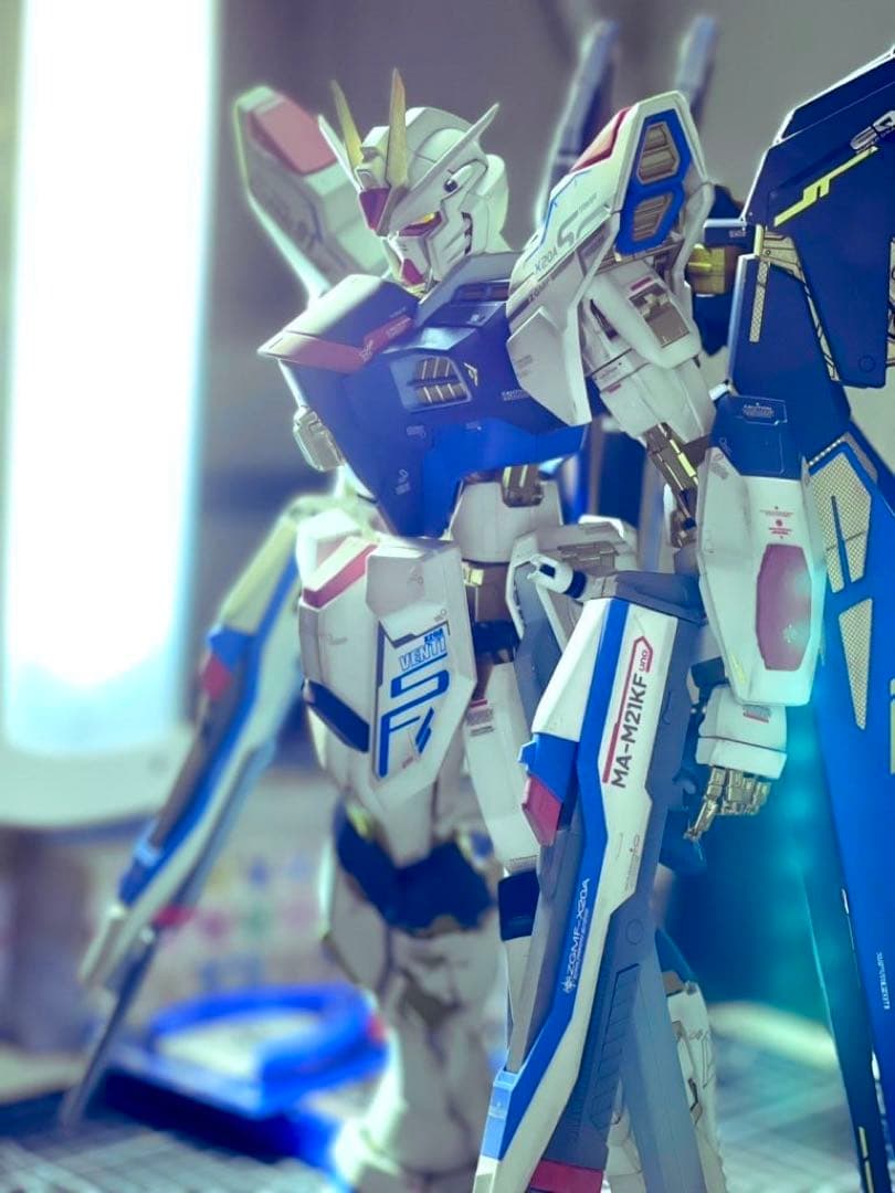 PG ストライクフリーダム　全塗装、完成品