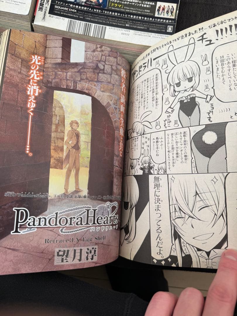 Gファンタジー　付録　2009〜2011 パンドラハーツ　特典 ブックカバー