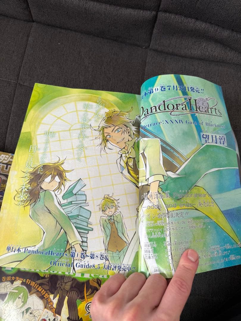 Gファンタジー　付録　2009〜2011 パンドラハーツ　特典 ブックカバー