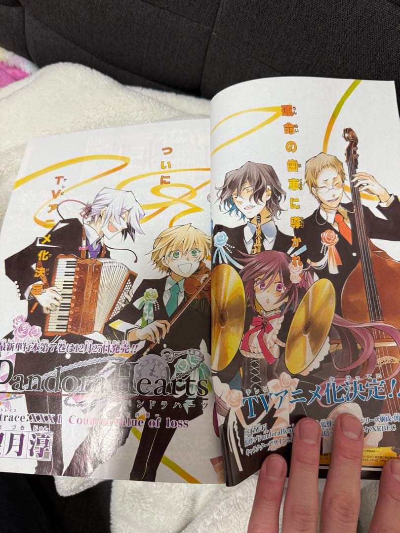 Gファンタジー　付録　2009〜2011 パンドラハーツ　特典 ブックカバー