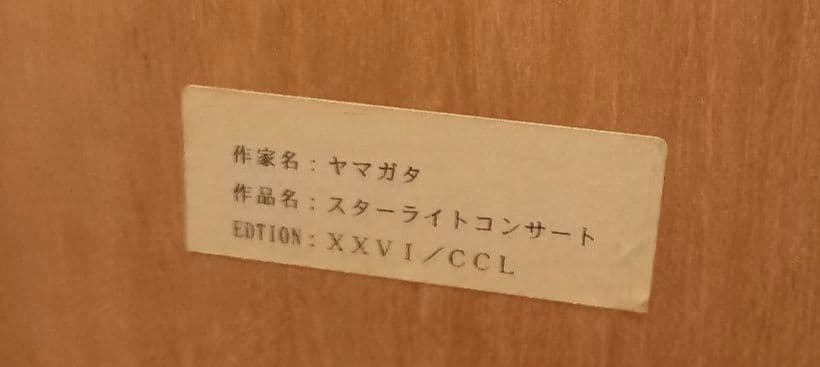 ヒロ　ヤマガタ【スター ライトコンサート 】