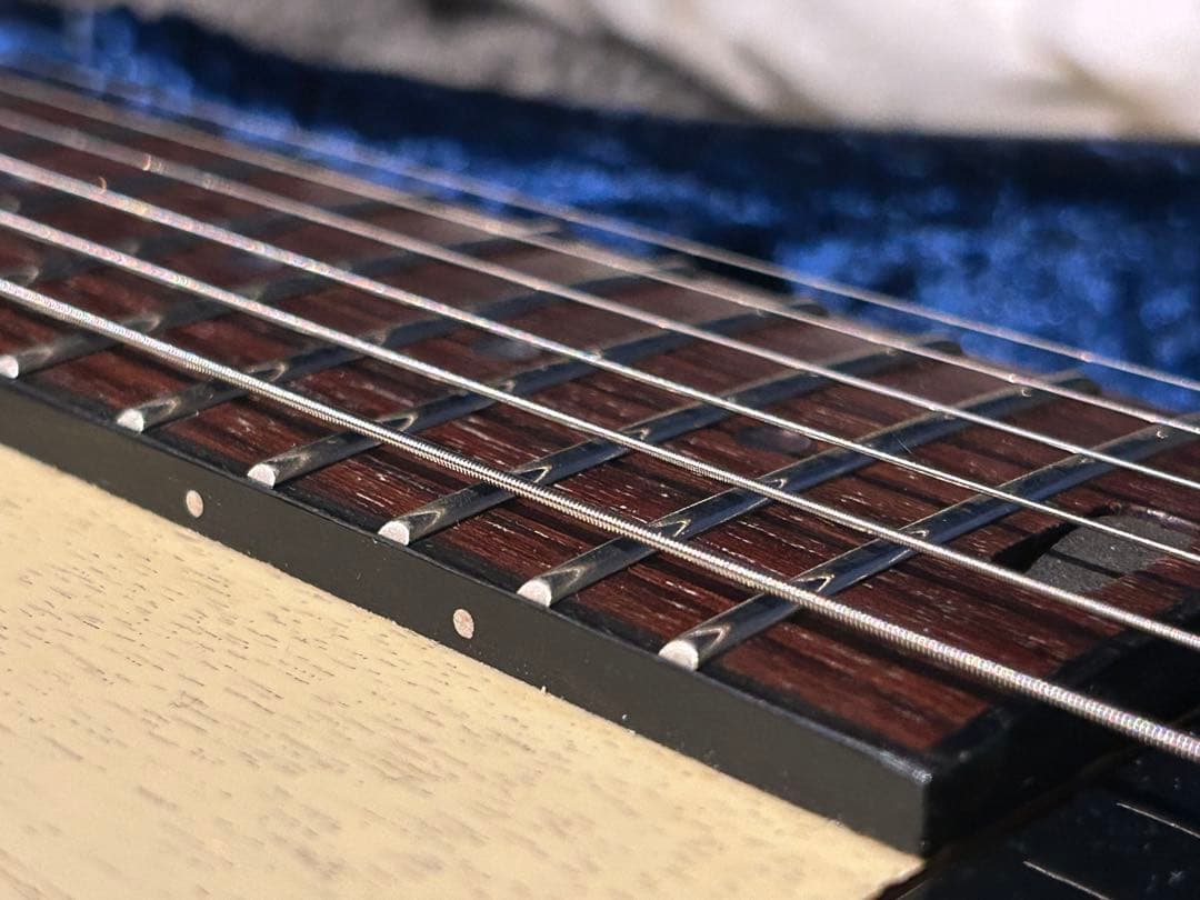 ギター Larrivee RS-2