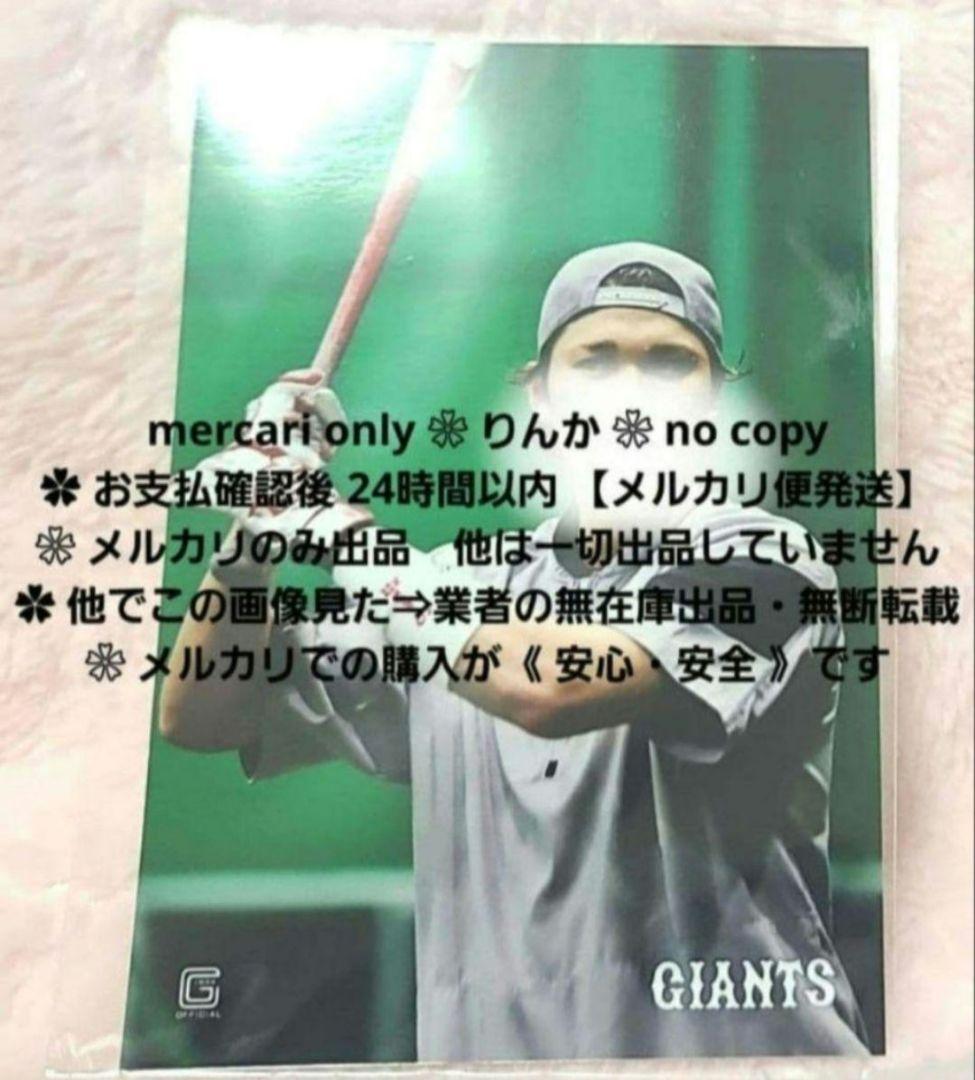 ■152　最終値下げ　プロ野球　巨人　坂本勇人　写真　公式写真　フォト