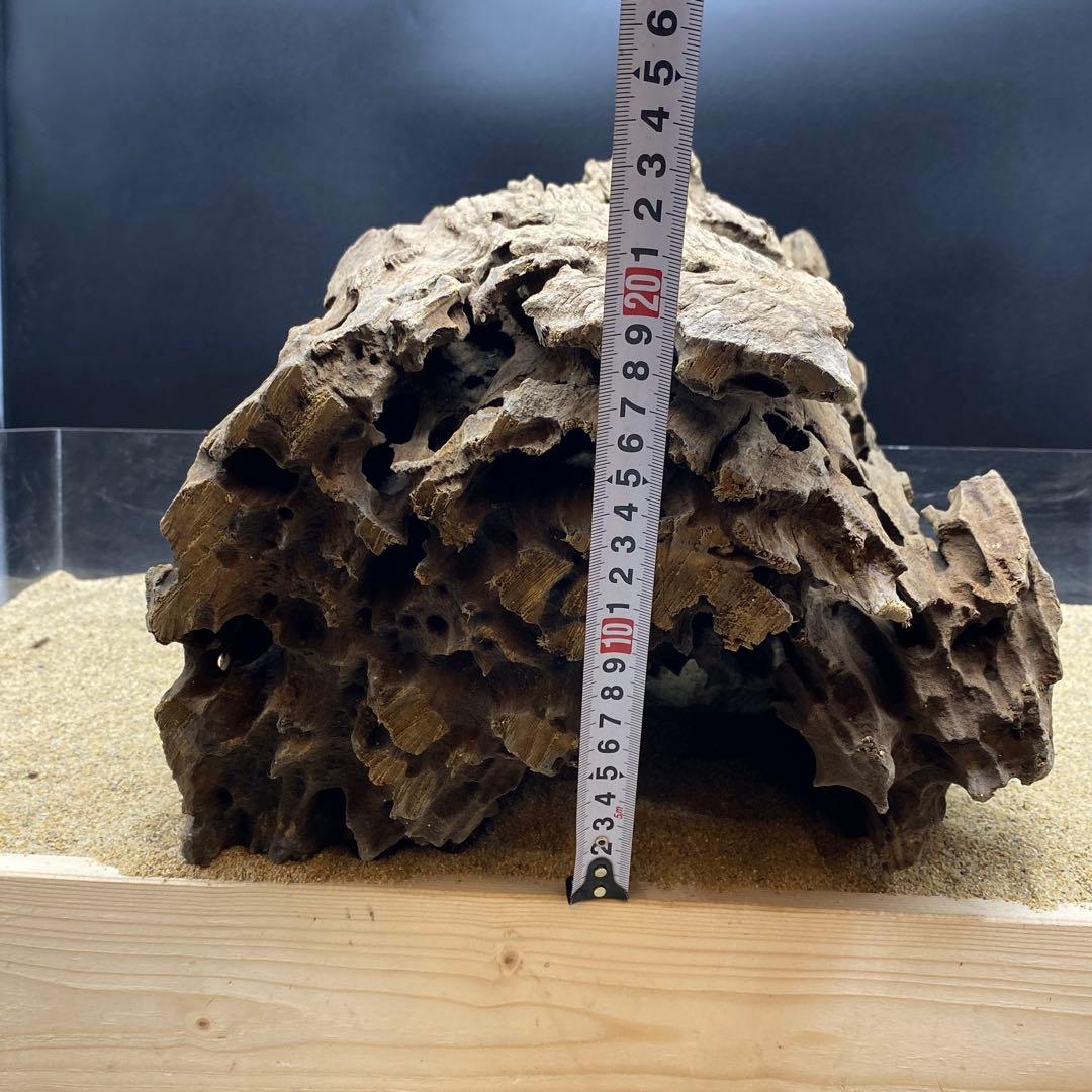 MMW-6273 特大マシンガンウッド　自立一点物　流木　アクアリウム