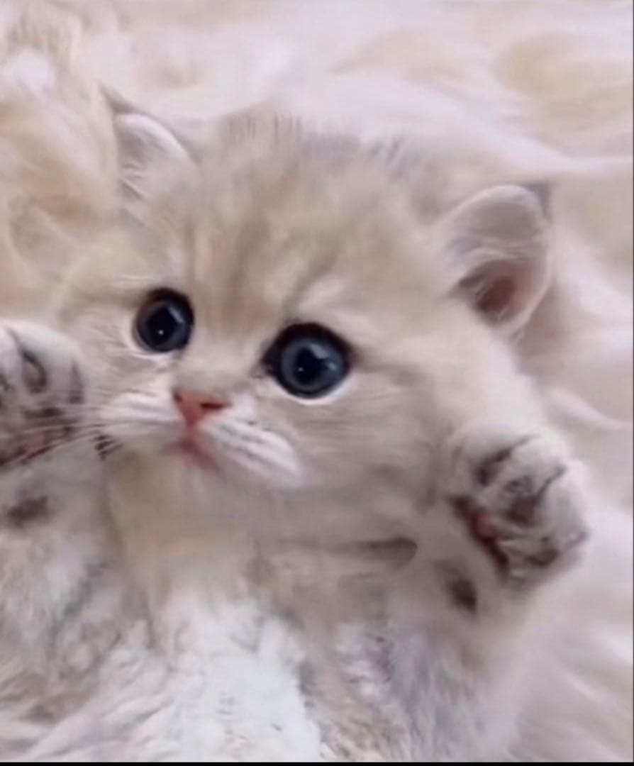 ♡専用ページ♡