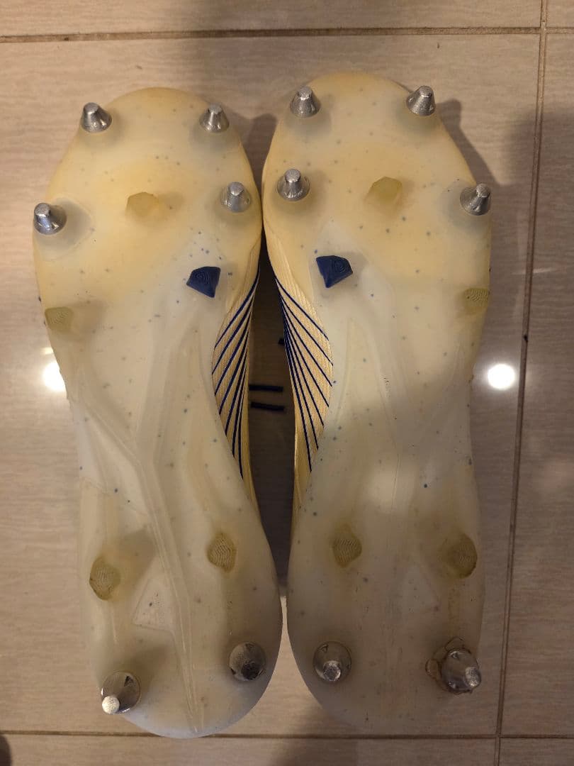 アディダス プレデター 19.1SG