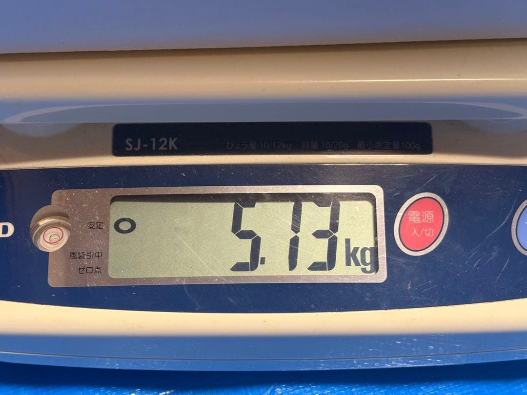 クイーンルージュ.シャインマスカット　長野県産4.56キロ