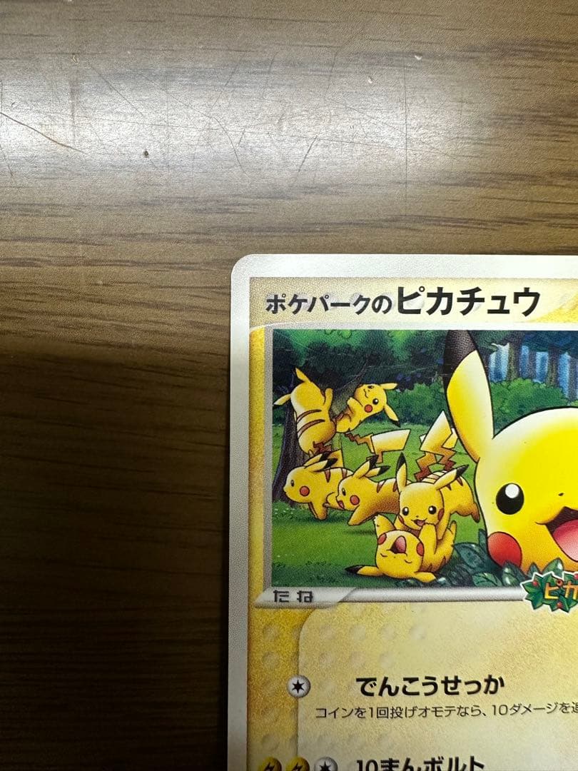 ポケパークのピカチュウ 043/PCG-P