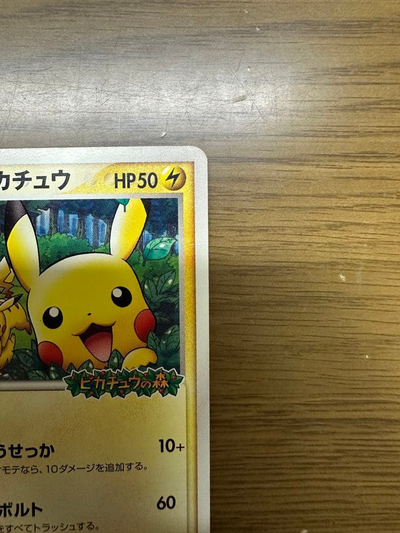 ポケパークのピカチュウ 043/PCG-P