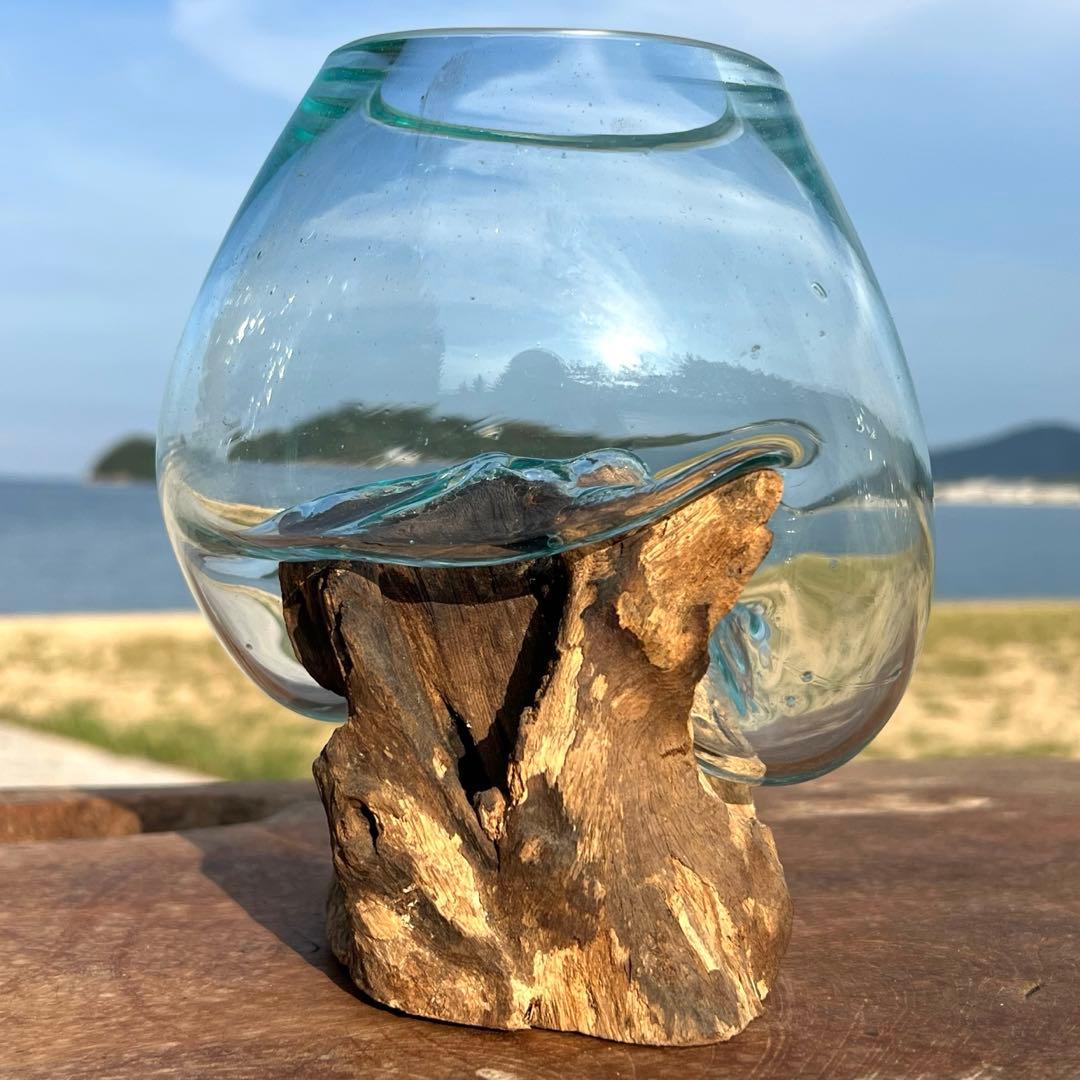 流木ガラス オブジェ中S 花瓶 金魚鉢 ガーデニング テラリウム 観賞魚 容器