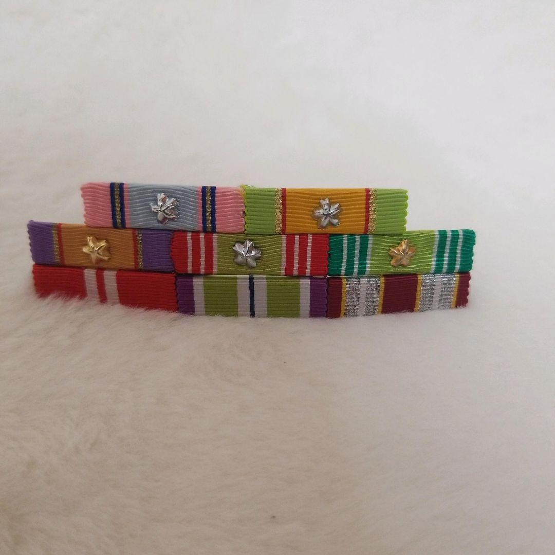 防衛記念章　READY RESERVE 手帳セット 迷彩色