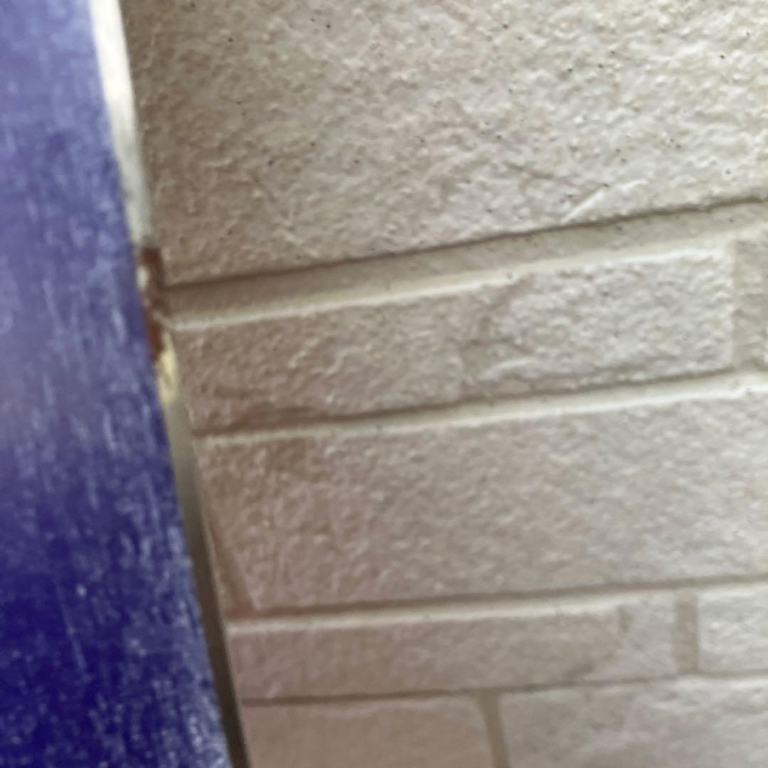 【125】 BURTON CHICKLET バートン チクレット バイン付き